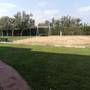 Горящие туры в отель Apartamentos Dalia  - 4