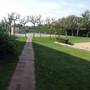 Горящие туры в отель Apartamentos Dalia  - 3