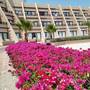 Горящие туры в отель Pharaoh Azur Resort - 4