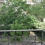 Горящие туры в отель Apartments Veruda  - 3