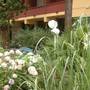 Горящие туры в отель Park Hotel Grilli  - 6