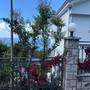 Горящие туры в отель Apartments Hollaj  - 2