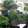 Горящие туры в отель Hotel Rondinella  - 3