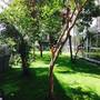 Горящие туры в отель Hotel Rondinella  - 6