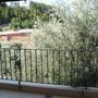 Горящие туры в отель Apartments Orfej  - 4