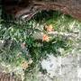 Горящие туры в отель Oaza Guest House  - 6