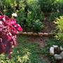 Горящие туры в отель Oaza Guest House  - 4