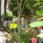 Горящие туры в отель Stevo Guesthouse  - 4