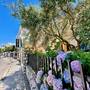 Горящие туры в отель Rooms Adriatic  - 1
