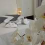 Горящие туры в отель Hotel Nord Est - 1