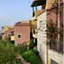Горящие туры в отель Petra Village  - 3