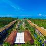 Горящие туры в отель Graceland Khaolak Beach Resort - 3