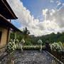 Горящие туры в отель Bidadari Private Villas & Retreat - 4
