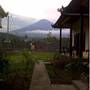 Горящие туры в отель Dillons Bungalows and Restaurant  - 1