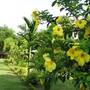 Горящие туры в отель Ban Rai Tin Thai Ngarm Eco Lodge  - 1