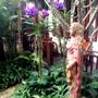 Горящие туры в отель Shewe Wana Boutique Resort & Spa  - 2
