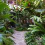 Горящие туры в отель Shewe Wana Boutique Resort & Spa  - 3