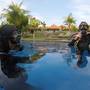 Горящие туры в отель Ocean View Dive Resort Tulamben - 3
