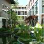 Горящие туры в отель Rarin Jinda Wellness Spa Resort  - 3