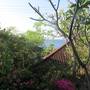 Горящие туры в отель Bo's Bungalows and Restaurant  - 5