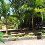 Горящие туры в отель Three Brothers Bobby's Villas  - 5