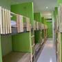 Горящие туры в отель Hostel World, The Eco Living  - 5