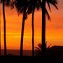 Горящие туры в отель Magnolia Guesthouse Varkala - 5