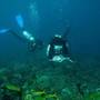 Горящие туры в отель Villa Alba Bali Dive Resort  - 4
