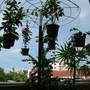 Горящие туры в отель Pannmalee Home Guest House  - 2