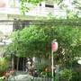 Горящие туры в отель Pannmalee Home Guest House  - 3