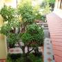Горящие туры в отель The Golden Wells Residence  - 5