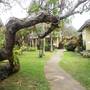 Горящие туры в отель Bali Lovina Beach Cottages - 4