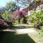 Горящие туры в отель Bali Lovina Beach Cottages - 3