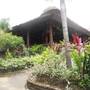 Горящие туры в отель Bali Lovina Beach Cottages - 5