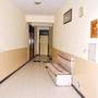 Горящие туры в отель Hotel Viren International  - 1