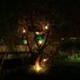 Горящие туры в отель Deshadan Backwater Resort - 6