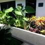 Горящие туры в отель Kelapa Lovina Beach Villa - 3