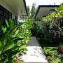 Горящие туры в отель Kelapa Lovina Beach Villa - 1