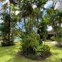 Горящие туры в отель Hidden Paradise Cottages - 2