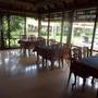 Горящие туры в отель Cocobay Resort Kumarakom  - 6