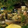 Горящие туры в отель Sudamala Suites & Villas - 3