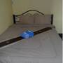 Горящие туры в отель Wild Orchid Guest House  - 1