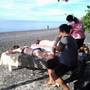 Горящие туры в отель Solaluna Beach Homestay  - 1