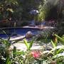 Горящие туры в отель Saraswati Holiday House  - 4