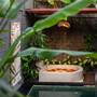 Горящие туры в отель Seminyak Sanctuary Villa by Ini Vie Hospitality - 4