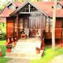 Горящие туры в отель Bluewater Beach Resort  - 2