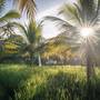 Горящие туры в отель Chapung Sebali Resort & Spa - 1