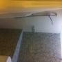 Горящие туры в отель Panca Dewi Guest House  - 1