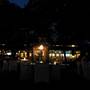Горящие туры в отель Starlight Hotel Lovina - 4