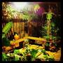 Горящие туры в отель Kim House Guest House  - 1